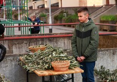 Nedjelja muke Gospodnje - Cvjetnica