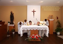 Trodnevnica
